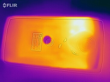 heat map back