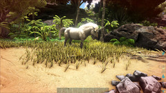 Ark Survival Evolved