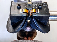 Cornell University researchers create MouseGoggles Duo 3D VR headset prototype for mice. (Image source: Cornell University)