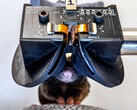 Cornell University researchers create MouseGoggles Duo 3D VR headset prototype for mice. (Image source: Cornell University)