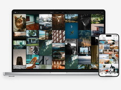 PC and smartphone with ZimaOS Photos