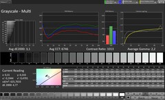 Grayscale (Profile: Original Pro, Target color space: sRGB)