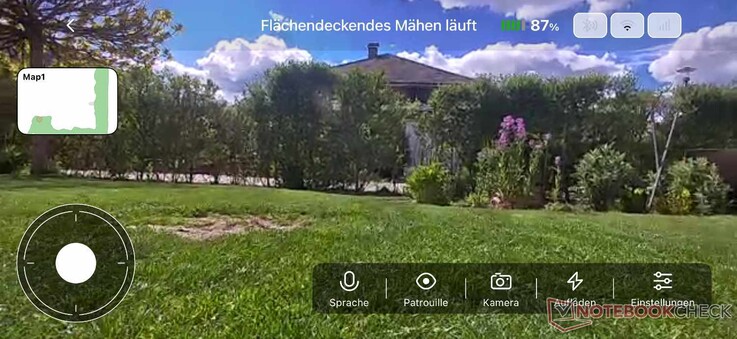 Live video from the garden