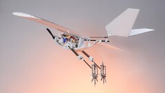 The RAVEN drone is inspired by the leg and wing coordination observed in birds like crows. (Image source: Alain Herzog)