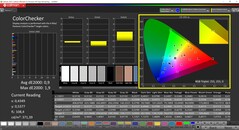 CalMAN ColorChecker calibrated (TrueColor profile: Display-P3)