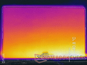Surface temperature (back)
