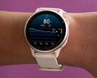 Garmin’s vivoactive 6 smartwatch (pictured) is receiving the Health Status feature in beta. (Image source: Garmin)