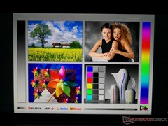 Wide IPS viewing angles. Colors and contrast shift if viewing from extreme angles