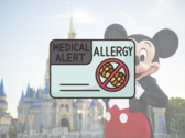 Michael Scheuer, the ex-employee, allegedly retained access to Disney’s systems using old login credentials, even after his employment ended. (Image source: Disney Connect - Edited)
