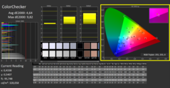 CalMan - ColorChecker