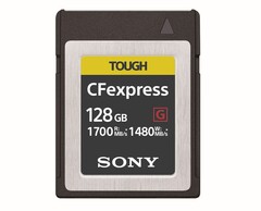 The Nikon Z6 is the first DSLR to support the new CFE 2.0 standard. (Source: Engadget)