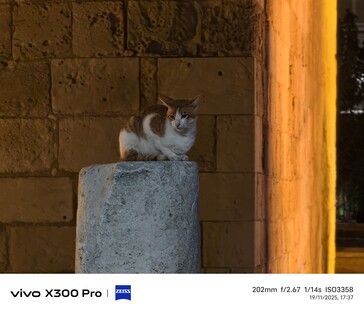 Vivo X300 Pro 200 mm without teleconverter.