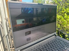 In the sun