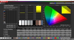 CalMAN ColorChecker (target color space P3)