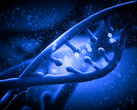 The malicious software is activated whrn the DNA sequencer analyzes the data. (Source: Shutterstock)