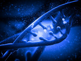 The malicious software is activated whrn the DNA sequencer analyzes the data. (Source: Shutterstock)