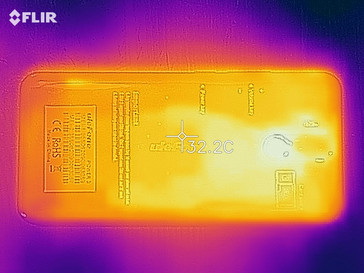 Heat map - back