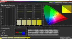 CalMAN - Saturation Sweeps (calibrated)