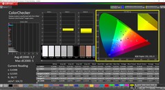 CalMAN ColorChecker (profile: Vivid, target color space: P3)