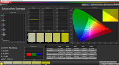 CalMAN - Saturation Sweeps (target color space: sRGB)