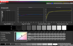 CalMAN Grayscale calibrated
