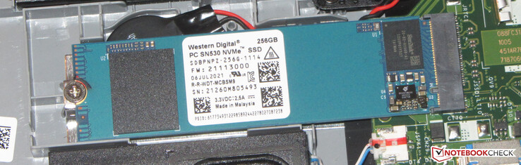 An NVMe SSD serves as the system drive.