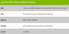 Nano 8GB. (Image source: Nvidia)