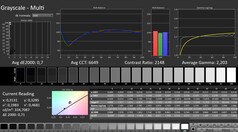 Calman: Grayscale (calibrated)