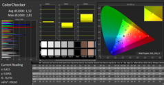 CalMAN: ColorChecker (calibrated)