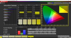 CalMAN saturation calibrated
