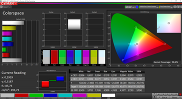 CalMAN Colorspace: 98.6 % sRGB