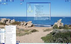 EasyOS 6 desktop (Image source: DebugPoint)