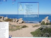 EasyOS 6 desktop (Image source: DebugPoint)