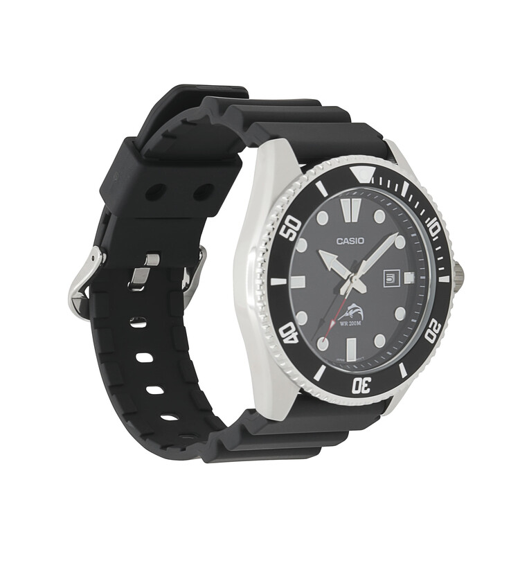 (Image source: Casio)