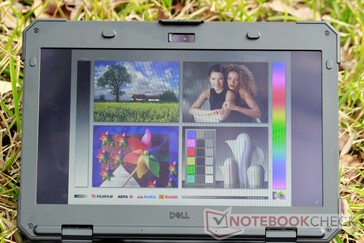Screen in direct sunlight