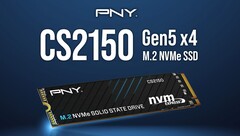 The CS2150. (Image source: PNY)