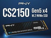 The CS2150. (Image source: PNY)