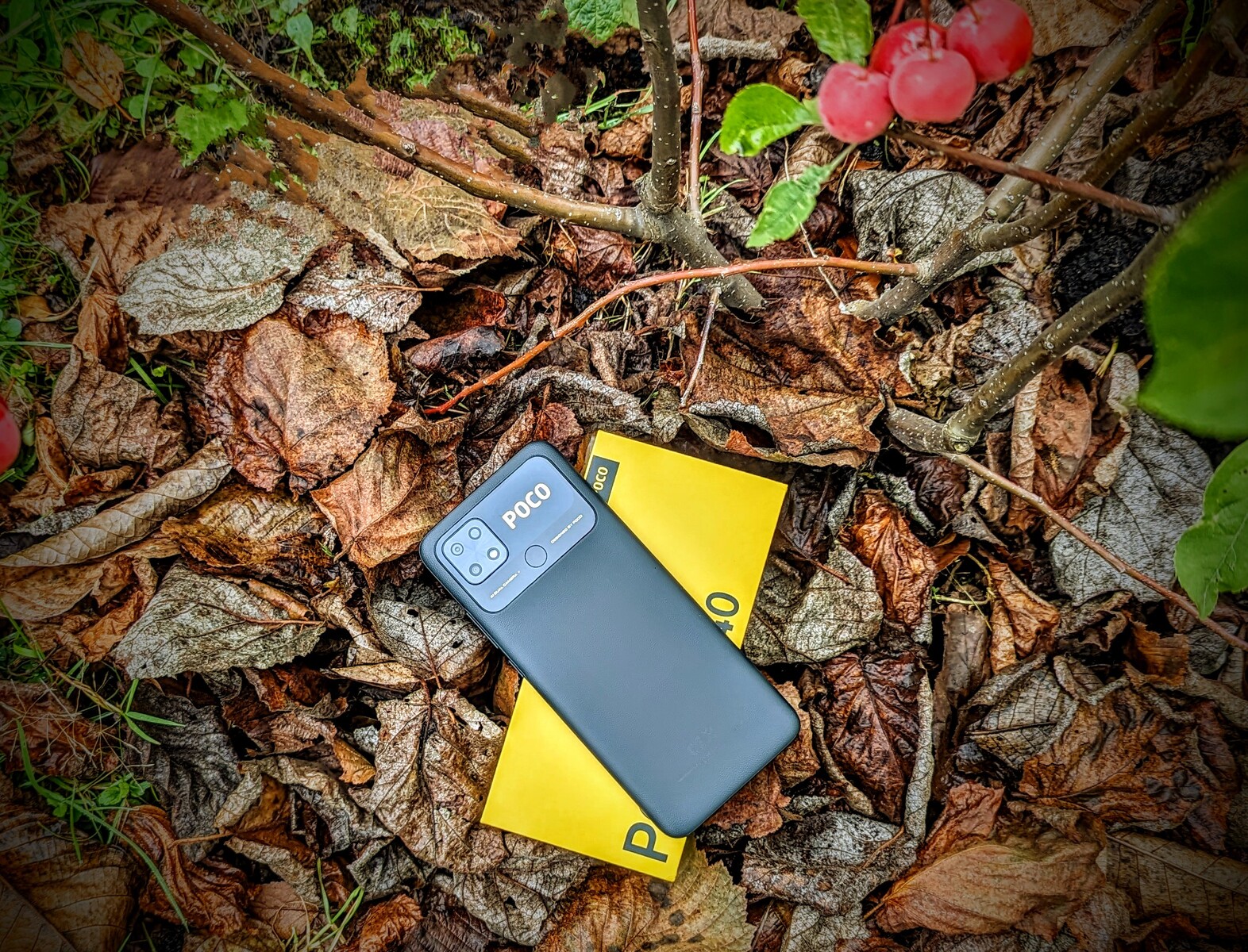 poco mobile camera quality