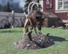 Pets in Fallout 76 will be able to passively farm resources for the players, as per reports. (Image source: Game Rant)
