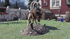 Pets in Fallout 76 will be able to passively farm resources for the players, as per reports. (Image source: Game Rant)