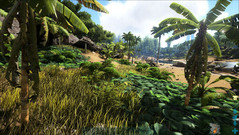 Ark Survival Evolved