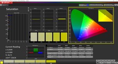 CalMAN Saturation Sweeps calibrated (target color space P3)