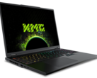 The generational leap between the mobile RTX 4080 and mobile RTX 5080 is where we expect it to be sans any DLSS upscaling features (Image source: Schenker)