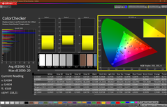 CalMan - Color Checker (calibrated)