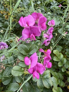 Photo taken using main camera