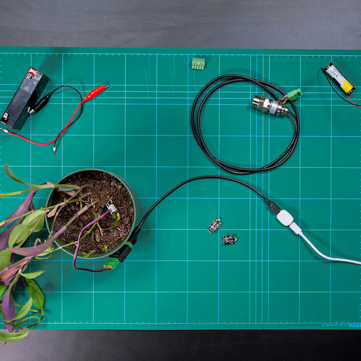 The Pill by Shelly. (Image source: Shelly)