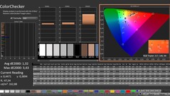 CalMAN: ColorChecker (calibrated)