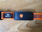 Weenect XT with Julius K9 collar
