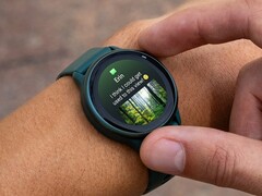 The Garmin vivoactive 6 smartwatch (pictured) appears to be receiving a new update. (Image source: Garmin)