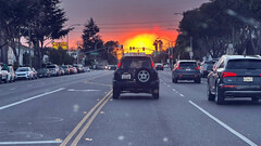 Model Y's bioweapon mode used in the Palisades fire escapade (Image source: Josef/X)